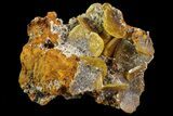 Wulfenite Crystals on Matrix - Mexico #67702-1